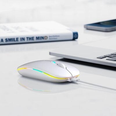 Computer-Mouse
